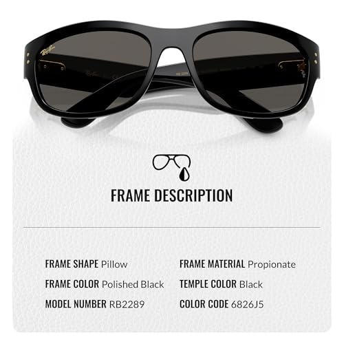 Ray-Ban RB2289 MEGA BALORAMA BLACKED OUT COLLECTION Square-Round Shaped Sunglasses with Official RAYBAN Eyewear Kit3
