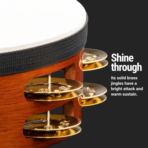 Meinl Percussion Tah2B-Ab Traditional 10-Inch Wood Tambourine With Goat Skin Head And Brass Jingles, 2 Row,Wood/ Brown #TOP2