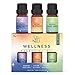 ASAKUKI Wellness Ätherische Öle Geschenkset 100% Reine Aromatherapie Diffusoröle,Hilfe für Geist zu Erheben, Stress & Angst zu Beruhigen, Müdigkeit zu Lindern, Schlaf Besser - 3x10mL