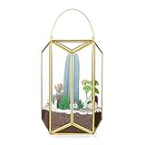 SCHÖN & PRAKTISCH: Dieser wunderschöne Pentagon-Terrarium-Pflanzer ist einfach und vielseitig, schafft eine modische Lebensatmosphäre, macht Ihr Leben poetischer und entspannender. Jeder Glasbehälter ist in stabilem Styropor gesichert.