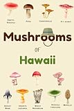Mushrooms Of Hawaii: Identification Log Book for Mushrooms, Journal for Mushrooms Hunting to Record Mushrooms Collecting Information, Mushrooms Lovers (Gifts for Kids And Adults)