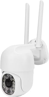 Wireless Camera WiFi 5G 2.4G Pan Tilt 320 Degree Wide Angle Night Vision Motion Detection 2 Way Audio IP66 IP Camera Outdoor Surveillance Camera for Home Security(UK)