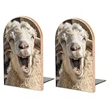 Cadeau impressionnant : convient pour les bureaux et les étagères, ces bloqueurs de livres robustes peuvent décorer votre bureau et votre bureau. Les supports de livres font un excellent cadeau et sont le choix parfait pour les amateurs de livres, les bibliophiles, les enseignants, les professeurs ou toute personne qui apprécie l'artisanat raffiné.