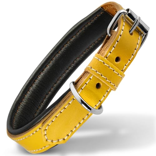 Filbert U[hbOJ[A^p{vցAv~AApbhÁAׂĂ̌ɒ߉\Awr[^obNAϋvACG[