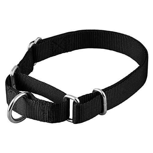 Native Pup Martingale Dog Collar, Adjustable for Small, Medium, Large pet and Puppies Accessories, Cute Colors for Male, Female, Boy, Girl, Puppy (Small, Black)