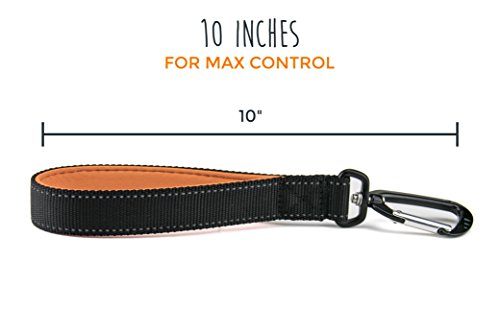 image for Mighty Paw Training Tab, 10” Short Dog Leash, Padded Handle, Strong 