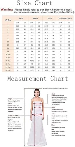 Long Mother of The Bride Dresses V-Neck Flutter Sleeve Chiffon Floor Length Formal Evening Gowns4