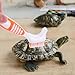 BESTonZON 3pcs Turtle Shell Cleaning Brush Set Reusable Turtle and Tortoise Mud Cleaner Sturdy Bristles for Care and Shell Maintenance