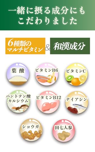 漢方生薬研究所 フェリチンセレクト の商品画像 5