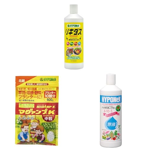 yZbgznC|lbNXWp ͍ L_X 800ml + }O@vK  500g + t̔엿 nC|lbNXt 800ml