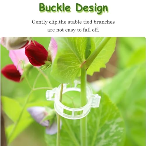 Image of Plant Support Clip | plant climbing wall clips | creeper wall holder | money plant clips for wall support | clips for plants support on wall (Pack of 50 Pcs, Plastic)