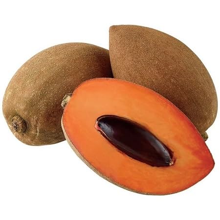 fetechondra Mamey Fruit Seeds 100PCS Brown