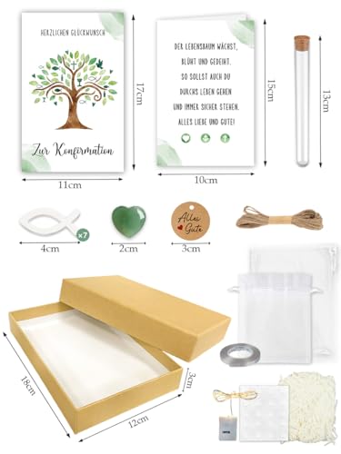Geldgeschenk Konfirmation mit Led, Konfirmation Geschenk Junge Mädchen Deko, Geschenkbox Geldgeschenke Verpackung mit Reagenzglas konfirmationskarten Holzspäne Fisch Herzstein Geschenktüte