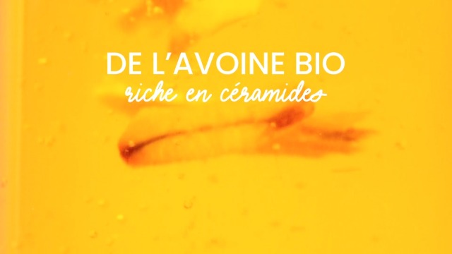 Pulpe De Vie Caresse Velouté Gesichtspflege – Feuchtigkeitsspendend & Bio | 30 Ml