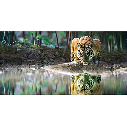 Point de croix diamant tigre complet 80x180cm pour apaiser votre esprit