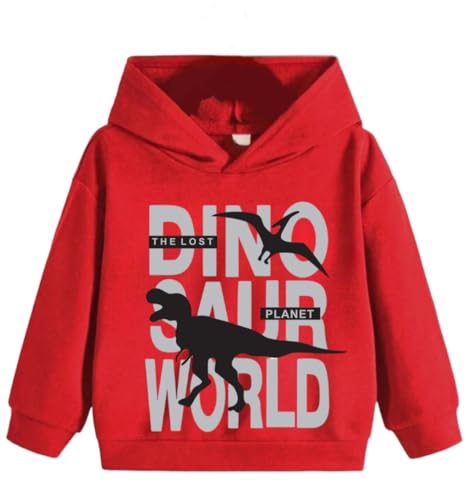 Image of Hoodies Sweatshirts for Boys & Girls