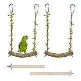 4 Stück Wellensittich Spielzeug, Naturholz Wellensittich Schaukel mit Sitzstangen Vogelspielzeug Vogelschaukel Vogelkäfige Sitzstange Vogelkäfig Zubehör für Papageien Kanarienvogel