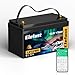 12V 170AH Lifepo4 Battery with Low Temperature Protection,12V Lithium Battery with 150A BMS and Bluetooth,Max 2176Wh Energy,Up to 8000+ Deep Cycle,Perfect for RVs,Trolling motor,Camping,Off Grid