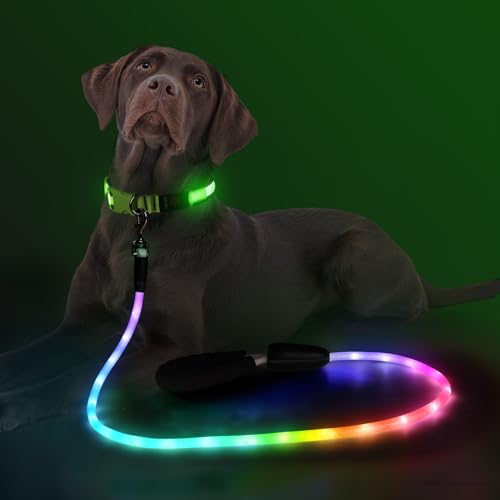 YFbrite wasserdichte Hundeleine mit Beleuchtung und 15 Blinkmodi – Superhelle LED-Hundeleine für kleine, mittelgroße und große Hunde – Wiederaufladbare Hundeleinen Typ C mit Licht (6ft(180cm))
