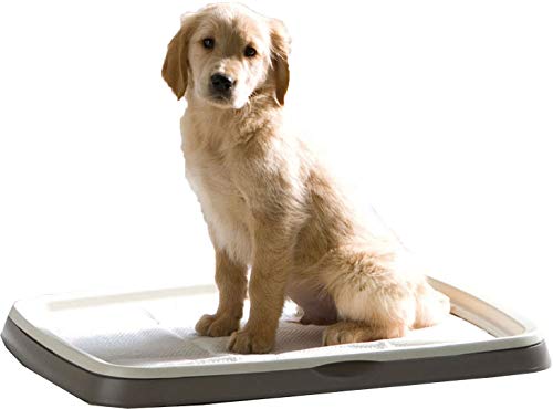 Savic Puppy Trainer Hundetoilette für Welpen, Starter-Set, Toilette mit 7 Pads, Größe L, 62,5 x 48 x 4 cm