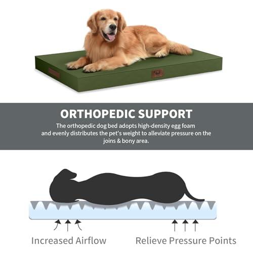 Image of Tail Stories Large Waterproof Orthopedic Dog Bed with Egg Crate Foam | Fits 42x28 Crates, TPU Waterproof Layer, 1680D Washable Oxford Cover, Portable Handle, Indoor & Outdoor Use, Up to 80 lbs