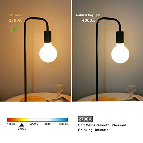 Image of G30 LED Globe Light Bulbs, E26 Base, Warm White 2700K, 2 Pack