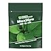 General Hydroponics MaxiGro Plant Food for Vigorous Growth, 2.2 lbs.