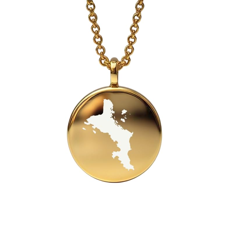 Pendentif carte des Seychelles en argent sterling plaqué or 14 carats, forme ronde de 24 mm et épaisseur de 1,5 mm, breloque Terre, bijou de voyage délicat | Médaillon gravé Aventure | LKB_MAP_610
