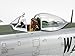 Tamiya 61090 1/48 P-47D Thunderbolt Bubbletop Plastic Model Airplane Kit