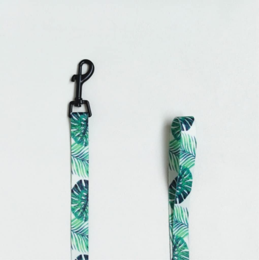 Longe Chien Laisse De Harnais De Collier De Chien en Nylon sans Traction Ceinture Chien(Blue,42-45cm)