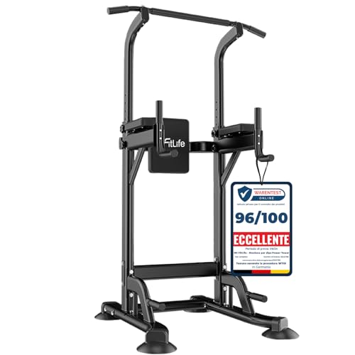 DH FitLife Power Tower Dip Station