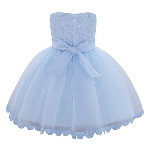 Baby Toddler Girl Tulle Tutu Dress Butterfly Flower Girl Wedding Formal Birthday Outfits Cake Smash Dresses3