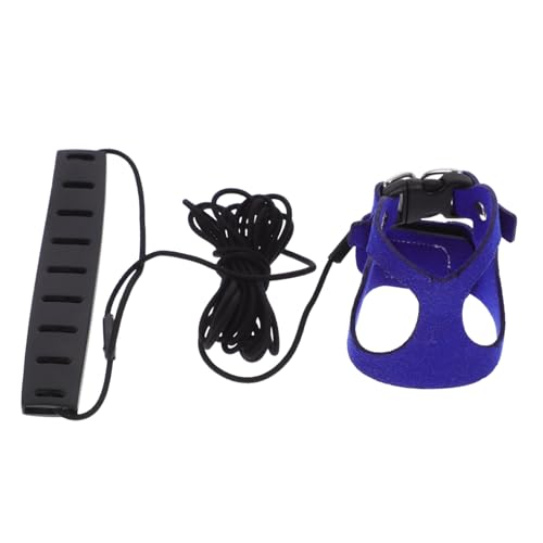 Correas Perros Pequeños Azul Marca Abaodam