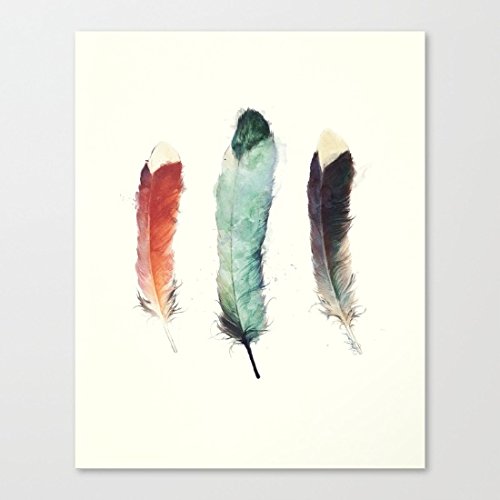 Feathers Art Print on Canvas 12x16inch Ready to Hang