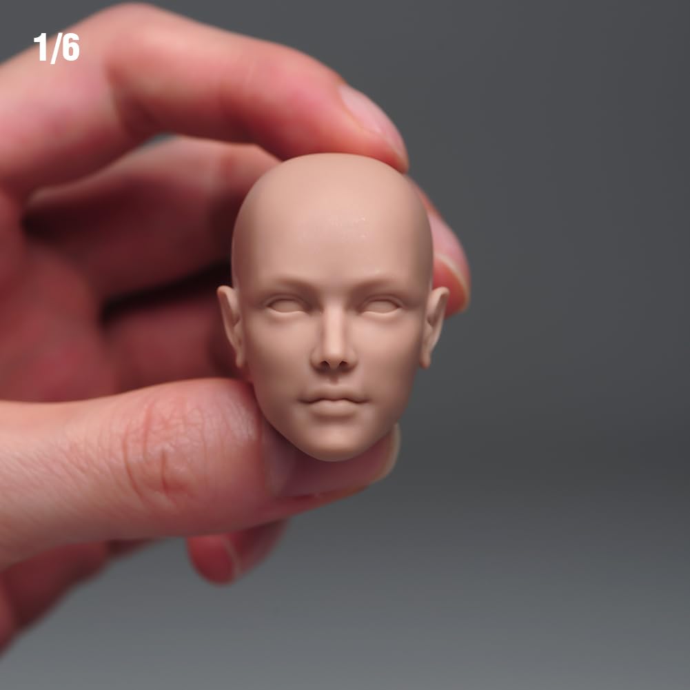 Amazon.com: RoofWorld 1/6 Scale Female Head Sculpt,Unpainted 