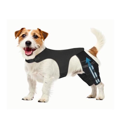 Pawfun Dog Knee Brace for Hind Leg – Adjustable Dog Rear Leg Support Brace with 4 Metal Stabilizers, Helps with Torn CCL, Luxating Patella, Ligament Injuries, Hip Dysplasia, S