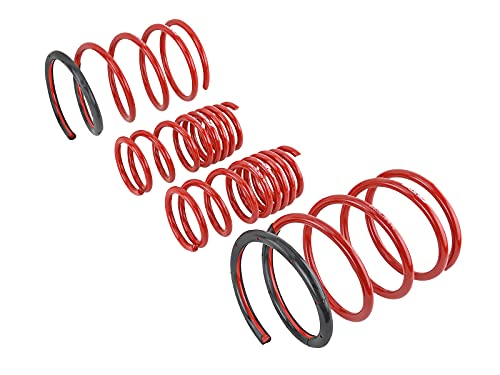 Skunk2 Lowering Springs for 2001-2005 Honda Civic | 519-05-1570 - Image 4