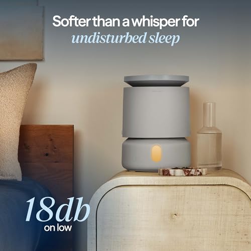 Image of BLUEAIR Room Humidifier - DreamWell - 48Hr Top-Fill Mist-Free InvisibleMist Technology Aroma Stone for Essential Oils and Soothing Mood Lighting - Quiet Operation for Bedroom and Home Use, Grey