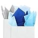 Fonder Mols Nautical Themed Anchor Party Decoration 9pcs 8'' 10'' 14'' White Baby Blue Tissue Paper Flowers Kit for Weddings Party Decor, Birthday, Bridal, Baby Boy Showers Nursery Décor