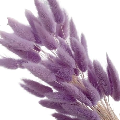 Ramo de flores secas Pampas Grass Nature Bunny 60pcs