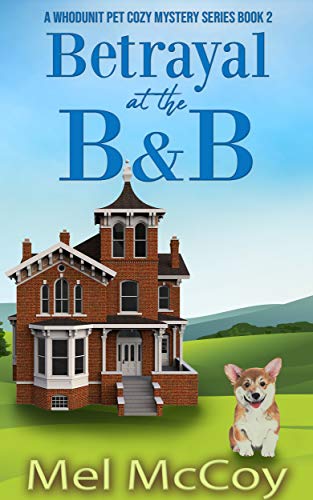 b&b pet store