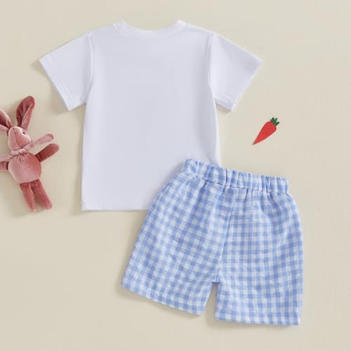 Image of Toddler Baby Boy Easter Rabbit Outfit Short Sleeve Bunny Carrot Smocked T-shirt Elastic Waist Shorts Summer Clothes
