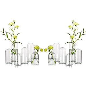 Glass Bud Vases for Flowers – Hewory Blown Modern Small Glass Vases for Centerpieces Set of 12, Mini Clear Bulk Flower Vases for Wedding Party Events Home Decor Floral Arrangement (Not Include Flower)