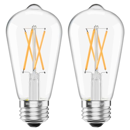 MorningLight Dimmable Vintage LED Edison Bulbs