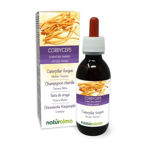 Cordyceps o Fungo bruco (Cordyceps sinensis o