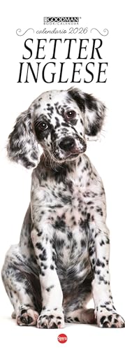 Setter inglese. Calendario 2026. Long (Lisa Goodman Long) für 11,33 EUR bei amazon.de Bild: Setter inglese. Calendario 2026. Long (Lisa Goodman Long) für 11,33 EUR bei amazon.de