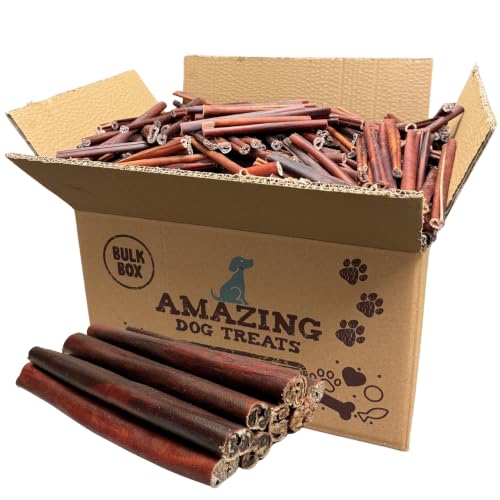 Amazing Dog 6