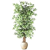 GTIDEA 6ft Ficus Artificial Tree, Tall Faux Trees Indoor with Natural Trunk and Fake Silk Tree Fake...