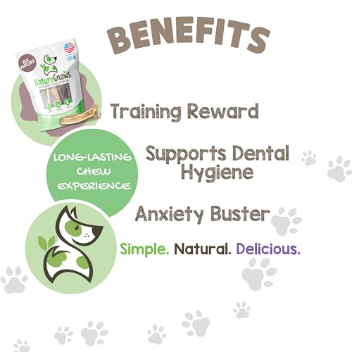 Nature-Gnaws-USA-Elk-Antlers-for-Dogs-5-8-3-Count-Mix-of-Split-and-Whole-Pieces-Long-Lasting-for-Aggressive-Chewers-Natural-Dog-Chew-Bones