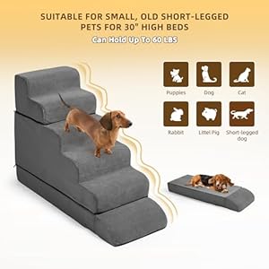Dog-Steps-for-High-Bed-5-in-1-Dog-Stars-for-30-inches-High-Beds-High-Density-Foam-Dog-Ramp-with-Removable-Cover-Non-Slip-Bottom-Up-to-60lbs - Cucciolini Doodles   Dog-Steps-for-High-Bed-5-in-1-Dog-Stars-for-30-inches-High-Beds-High-Density-Foam-Dog-Ramp-with-Removable-Cover-Non-Slip-Bottom-Up-to-60lbs